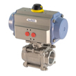 NPT and socket weld ball valves